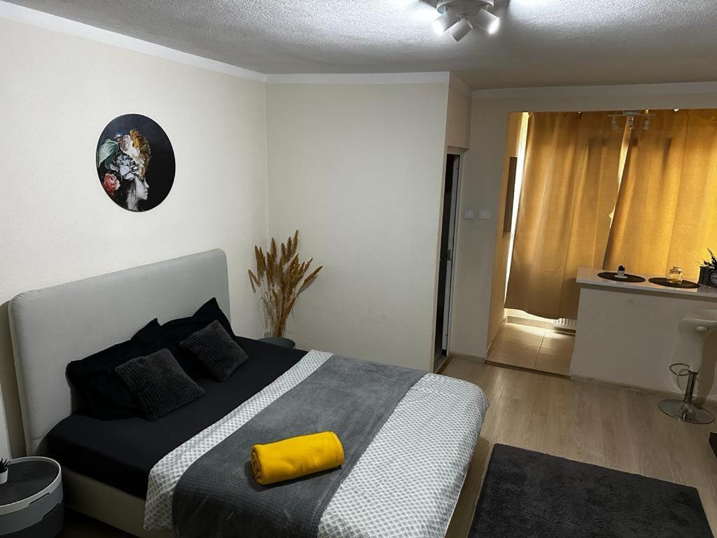Reeas Apartament Timişoara Eksteriør billede