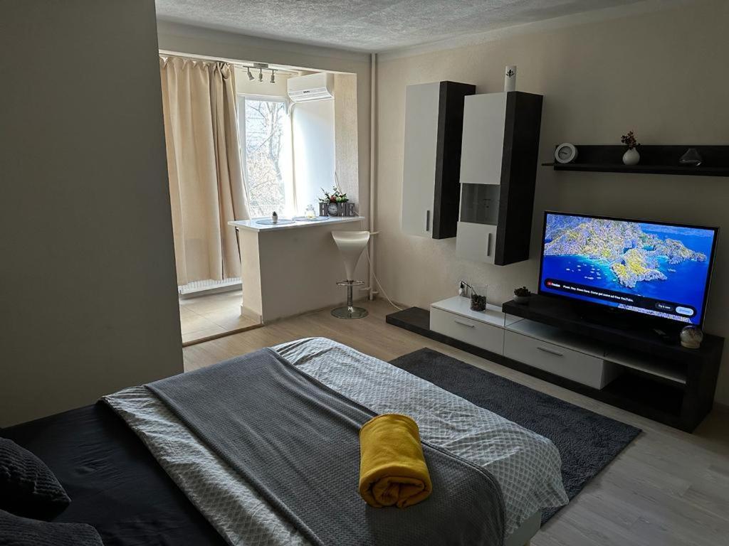 Reeas Apartament Timişoara Eksteriør billede