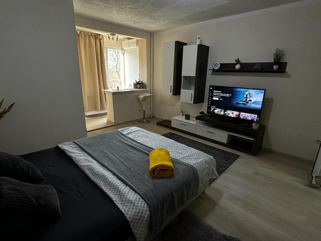 Reeas Apartament Timişoara Eksteriør billede